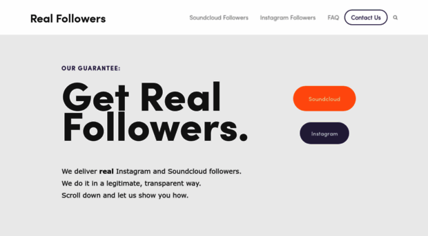 realfollowers.io