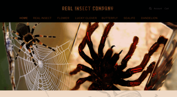 realinsect.com