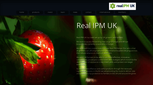 realipm.co.uk