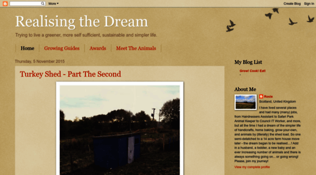 realisingthedream.blogspot.com