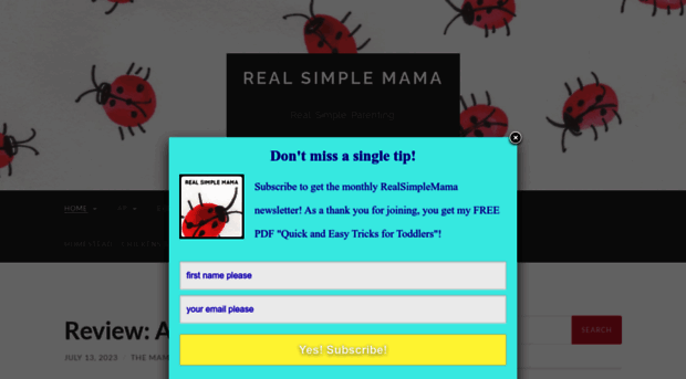 realsimplemama.com