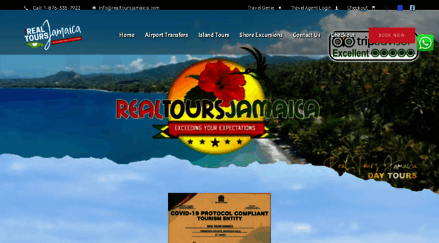 realtoursjamaica.com