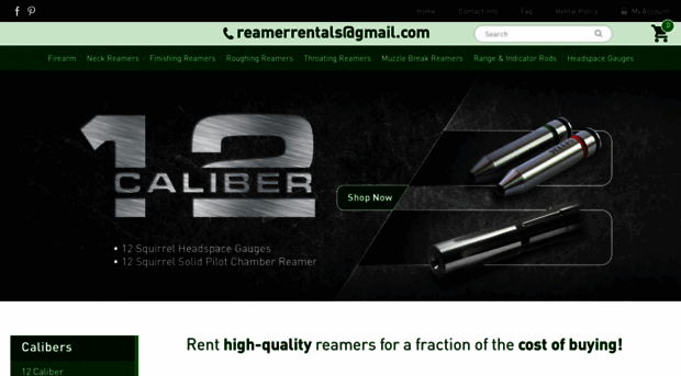 reamerrentals.com