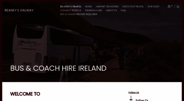 reaneysofgalway.com