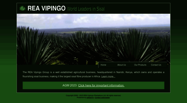 reavipingo.com