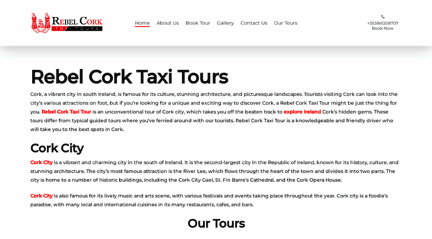 rebelcorktaxitours.ie