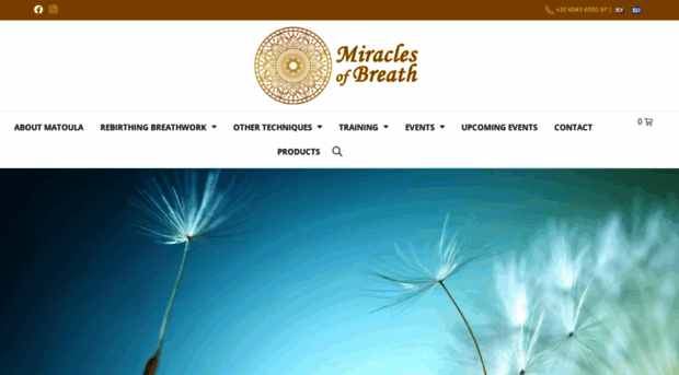 rebirthingbreathwork.net