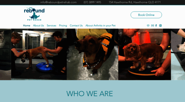 reboundpetrehab.com