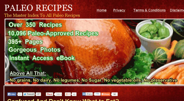 recipesfrompaleo.pw