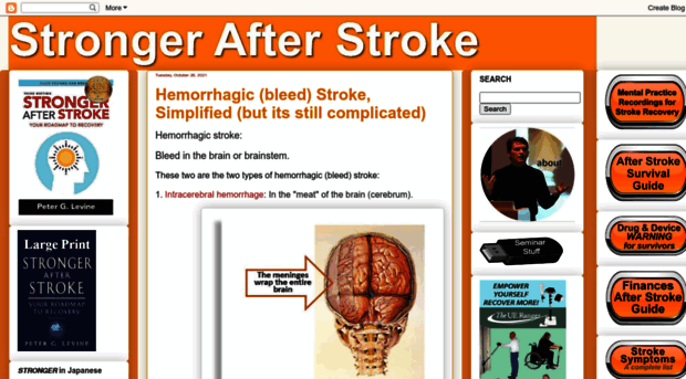 recoverfromstroke.blogspot.in