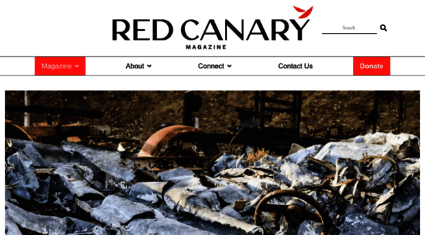 redcanarycollective.org