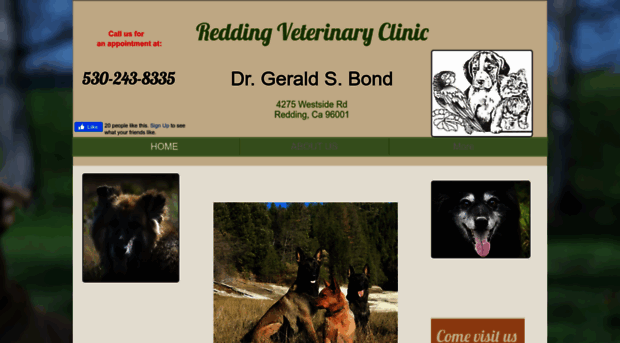 reddingveterinaryclinic.com