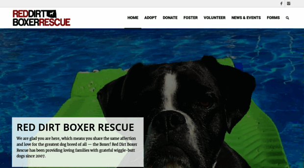 reddirtboxerrescue.com