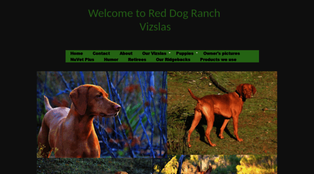 reddogsranch.com