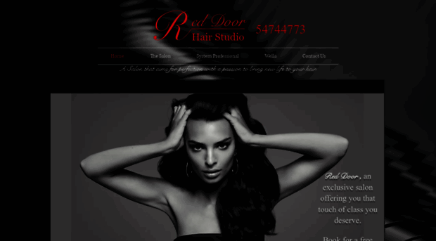 reddoorhairstudio.com