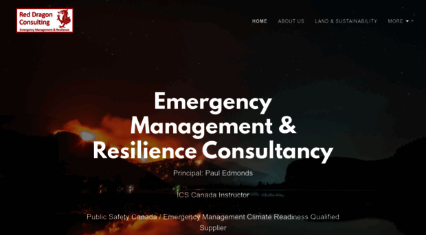 reddragonconsulting.com