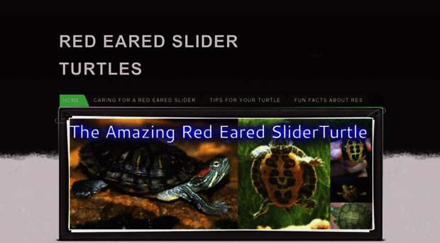 redearedsliderturtles.weebly.com