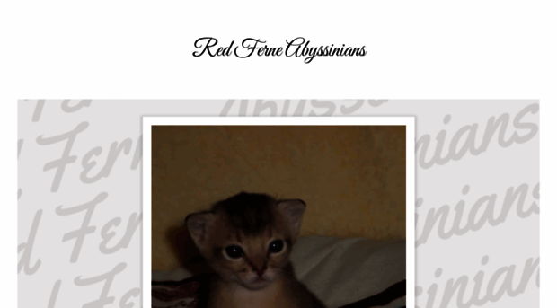 redferneabyssinians.com