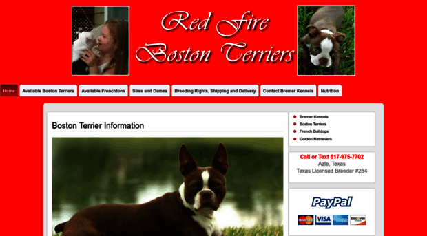 redfirebostonterriers.com