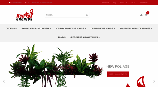 redfoxorchids.com.au