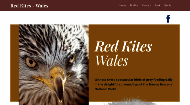 redkiteswales.co.uk