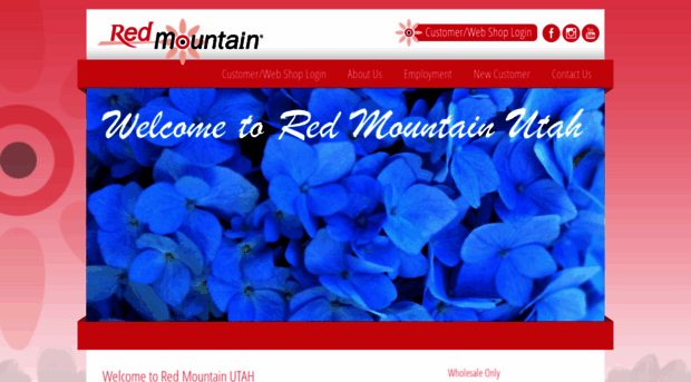 redm.com