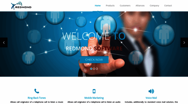 redmondsoftware.com