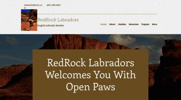 redrocklabradors.com