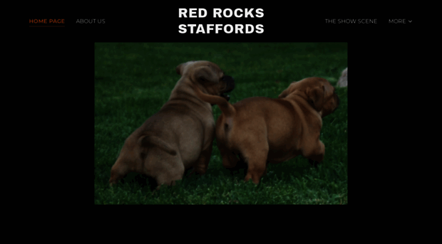 redrockstaffords.com