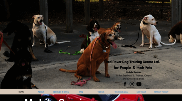 redroverdogtraining.com