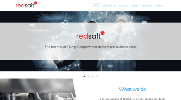 redsalt.com