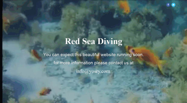 redseadiving.com