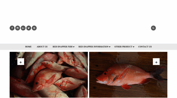 redsnapperfish.com