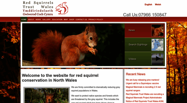 redsquirrels.info