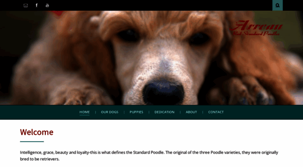 redstandardpoodles.net