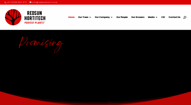 redsunhort.co.za