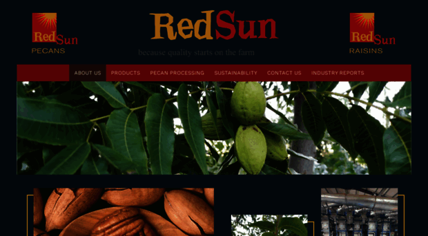 redsunpecans.com