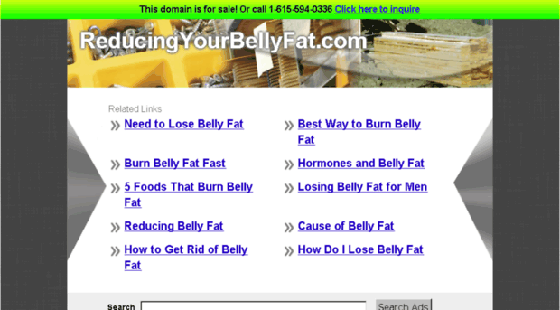 reducingyourbellyfat.com