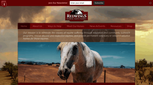 redwingshorsesanctuary.org