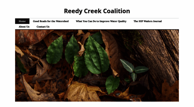 reedycreekcoalition.org