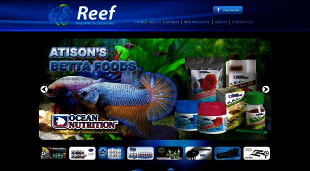 reef.com.ph