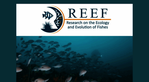 reef.edu.au