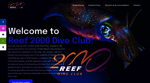 reef2000diveclub.com