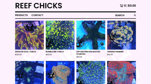 reefchicks.com