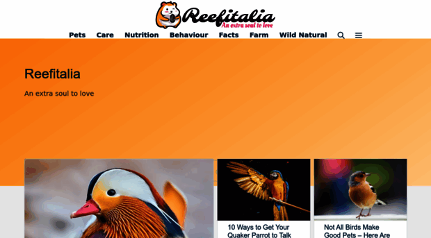 reefitalia.net