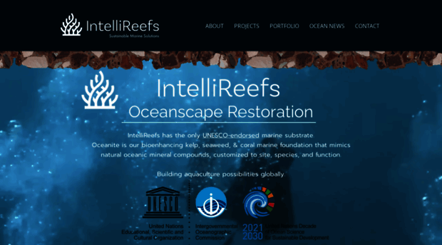 reefliferestoration.com