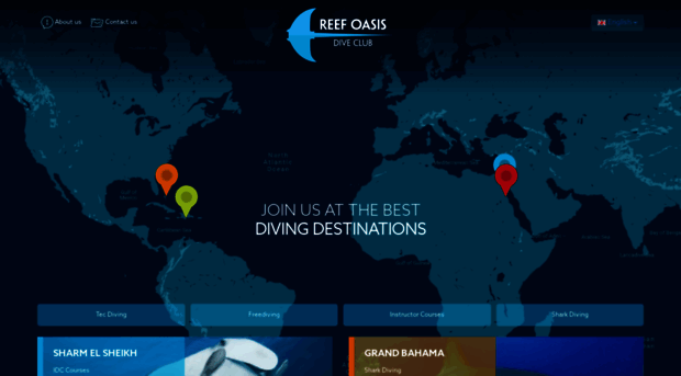 reefoasisdiveclub.com