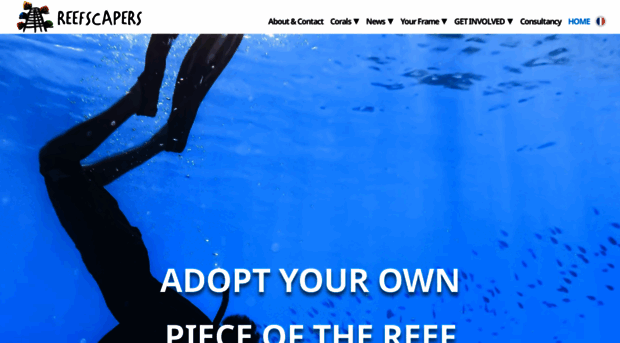 reefscapers.com