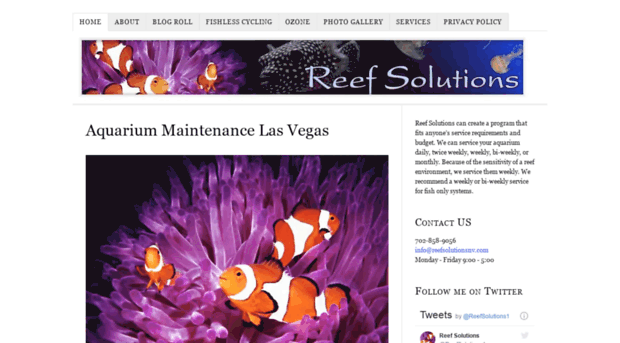 reefsolutionsnv.com