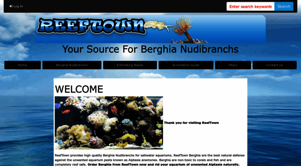 reeftown.com